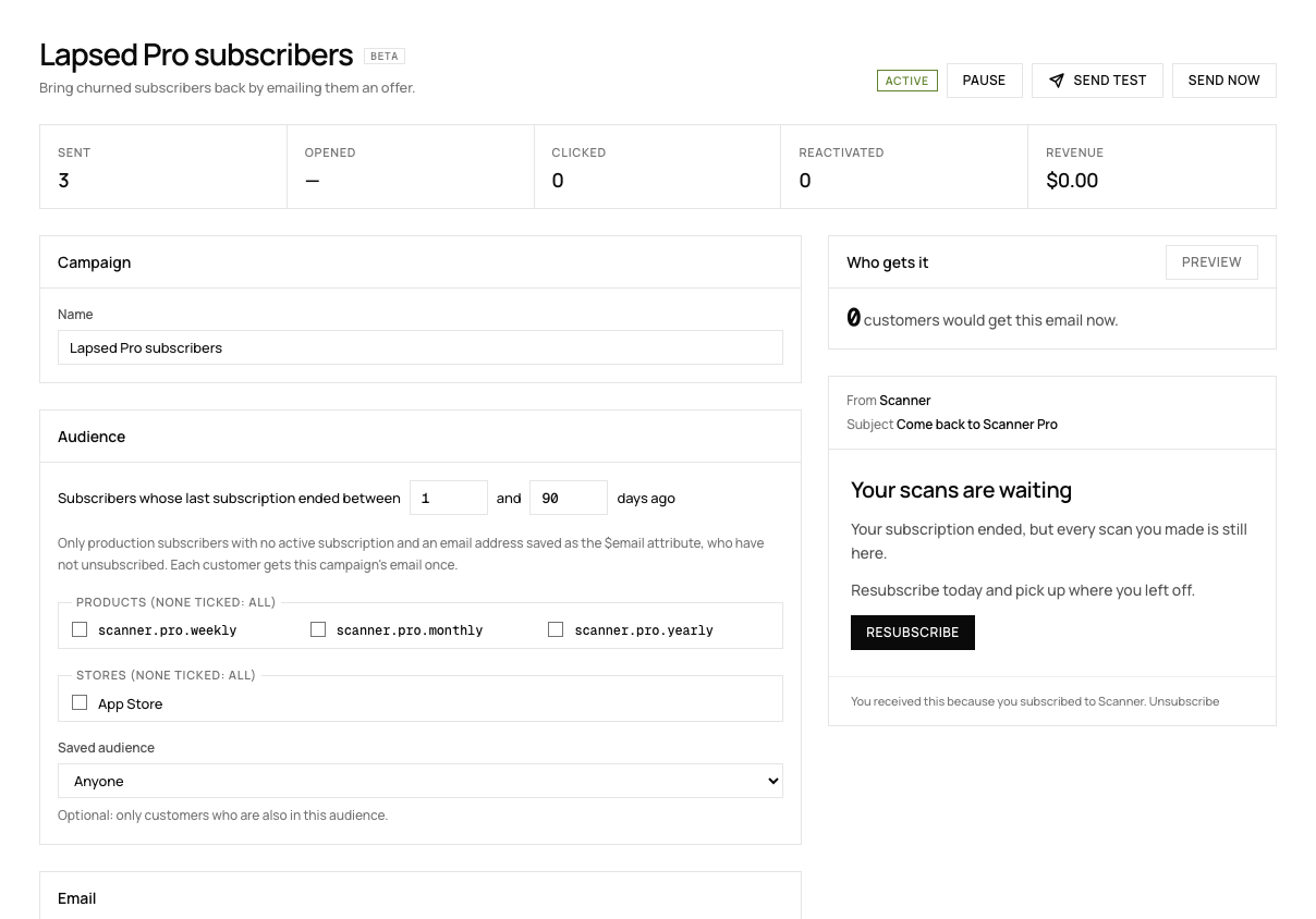The RevenueDot win-back campaign editor with audience, email preview and results
